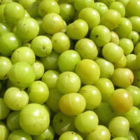 Amla (Indian Gooseberry)