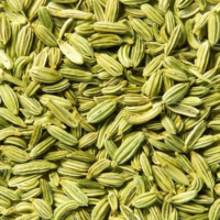 Fennel Seeds